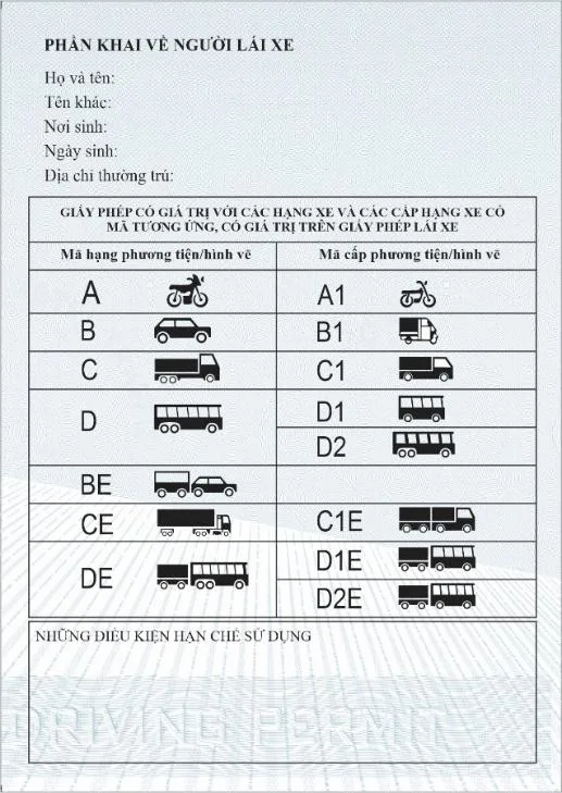 Mẫu trang khai về người lái xe và bảng hạng xe trong giấy phép lái xe quốc tế: mã hạng A, B, C, D, BE, CE, DE, hạng con A1, B1, C1, D1, D2, C1E, D1E, D2E kèm hình xe, ô điều kiện hạn chế sử dụng